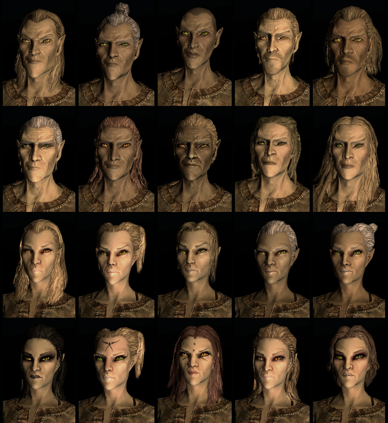 Illustration for article titled Twenty Different Faces For Each of Skyrim's Races